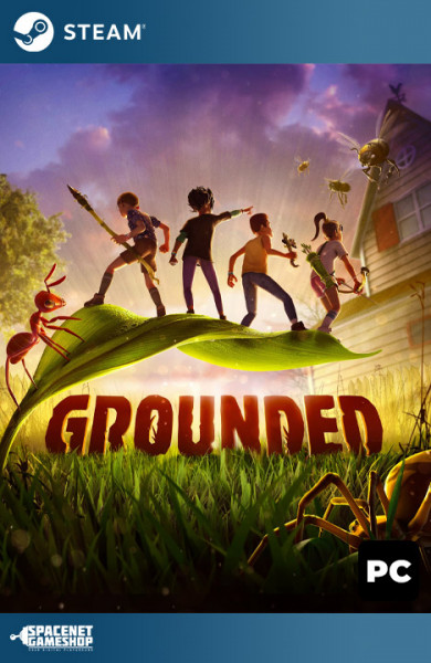 Grounded Steam [Account]